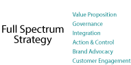 Full Spectrum Strategy